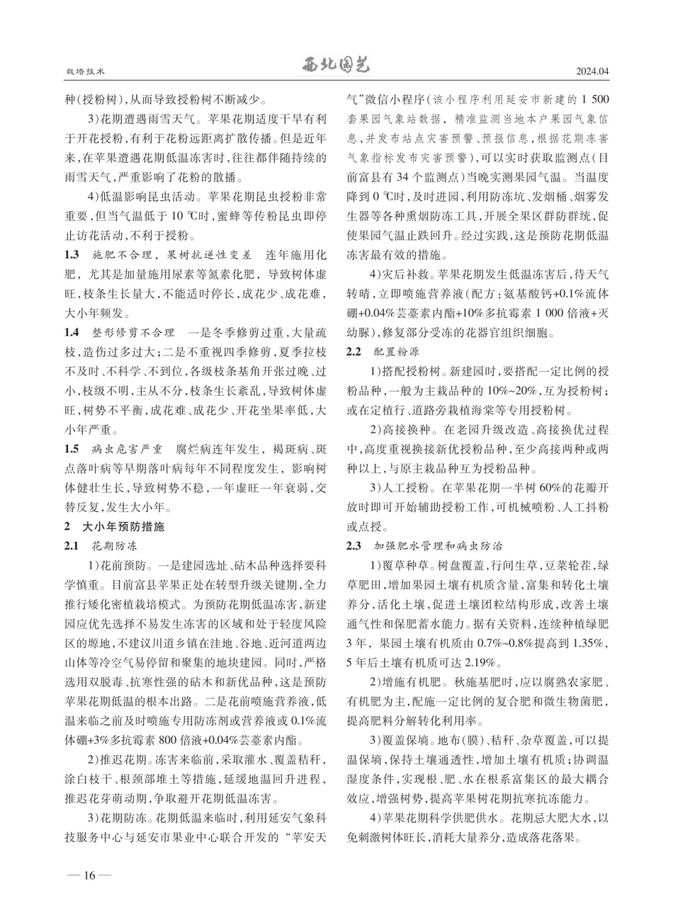富县苹果园大小年多发原因分析与建议.pdf_第2页