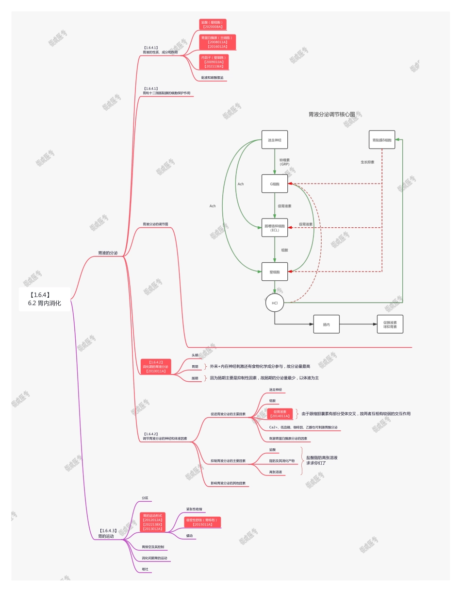 【221103】思维导图-6.2 胃内消化 .pdf_第1页