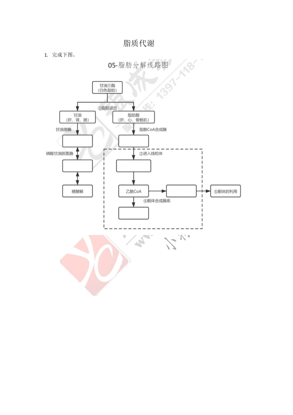 【221127】生物化学第5次带读课作业-问题 .pdf_第1页