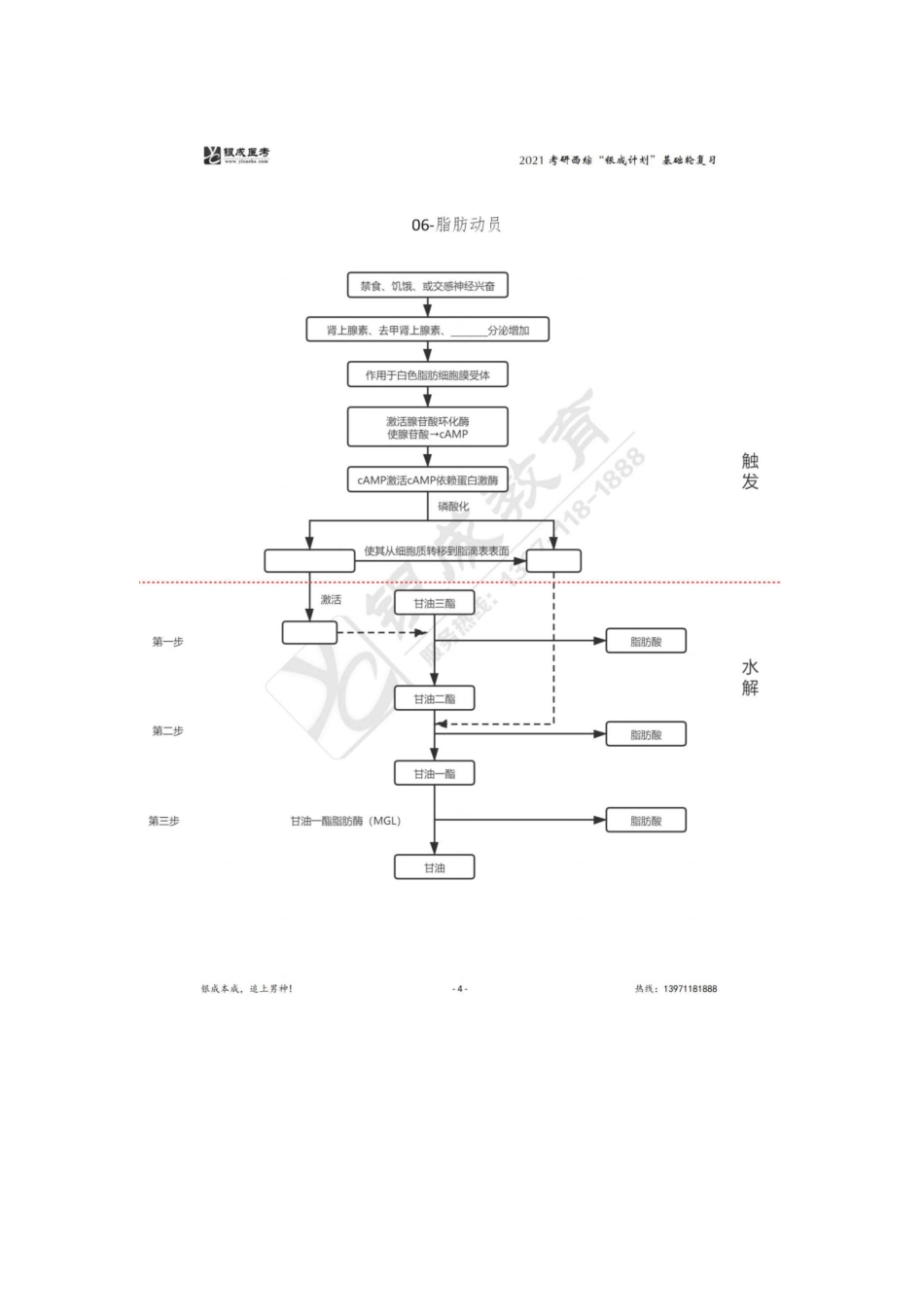 【221127】生物化学第5次带读课作业-问题 .pdf_第2页