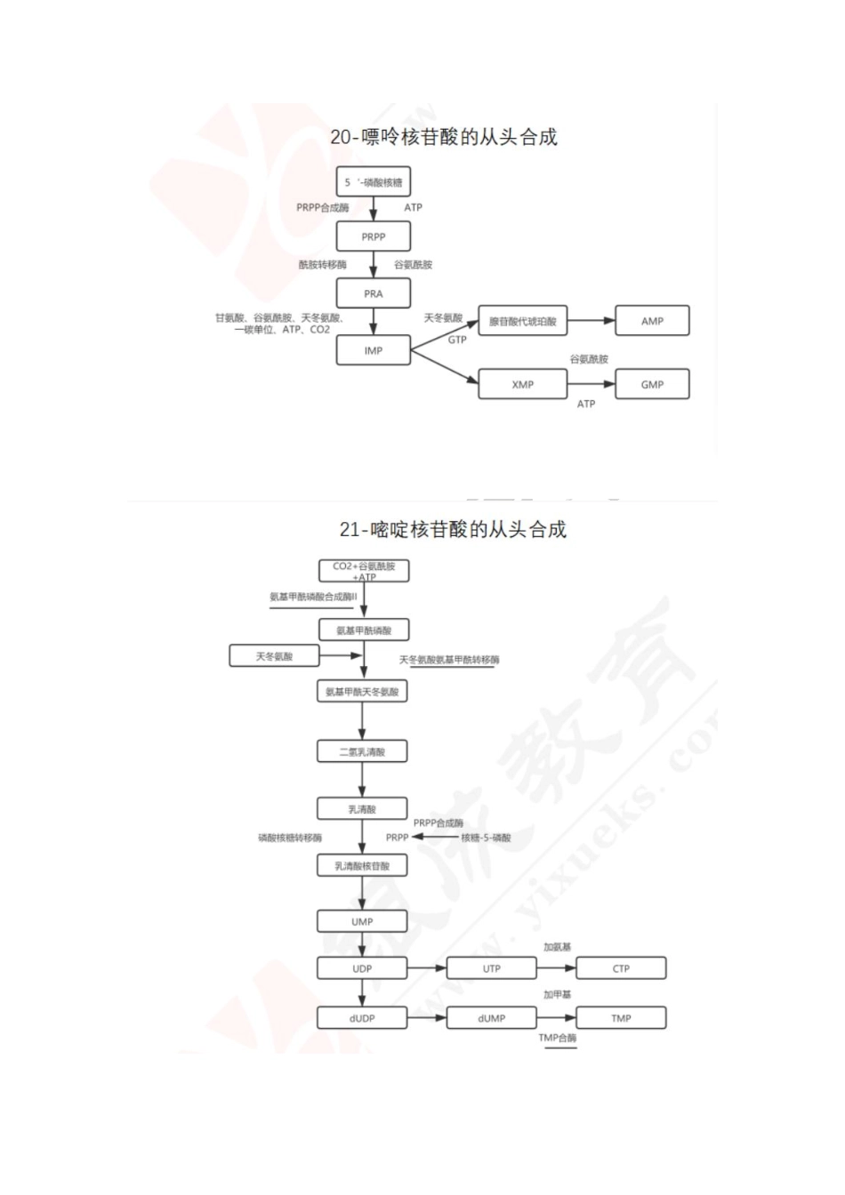 【221201】生物化学第7次带读课作业-答案 .pdf_第2页