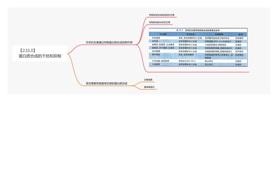 【221205】思维导图-蛋白质合成的干扰和抑制 .pdf_第1页