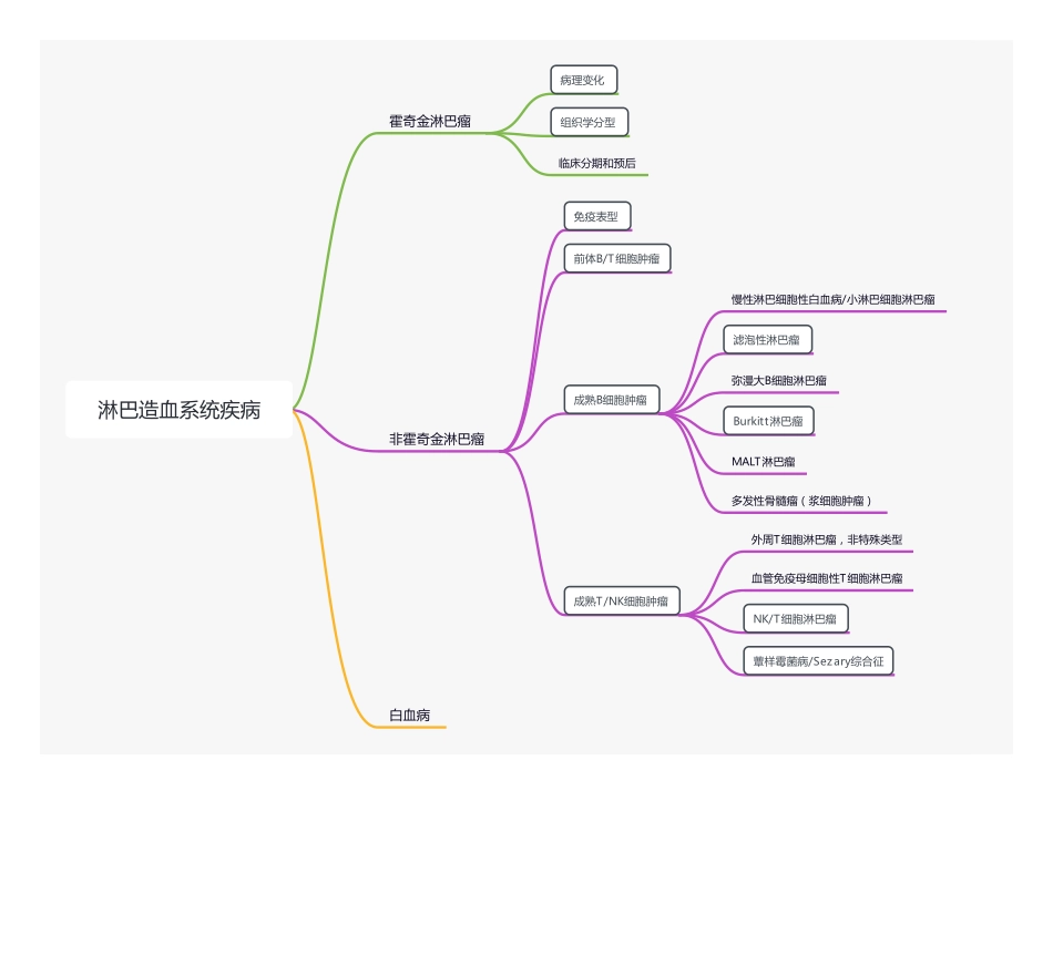 【221223】思维导图- 淋巴造血系统疾病 .pdf_第1页