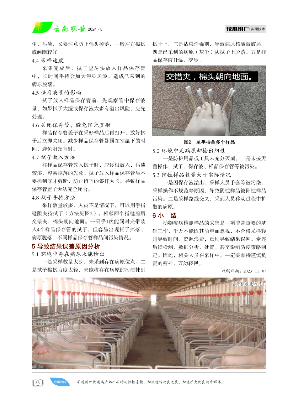 动物疫病检测中环境拭子采集技巧 (1).pdf_第2页