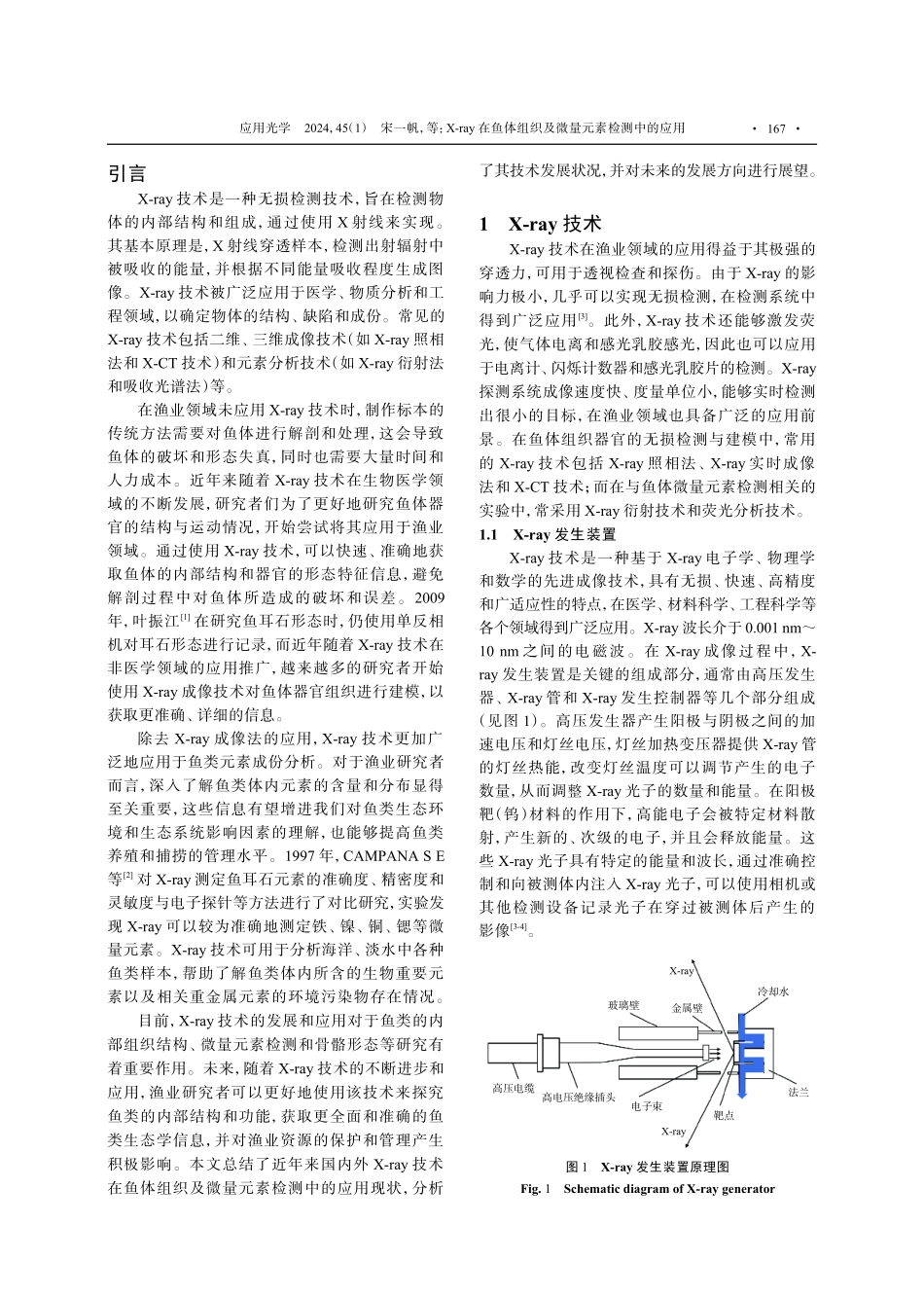 X-ray在鱼体组织及微量元素检测中的应用.pdf_第2页