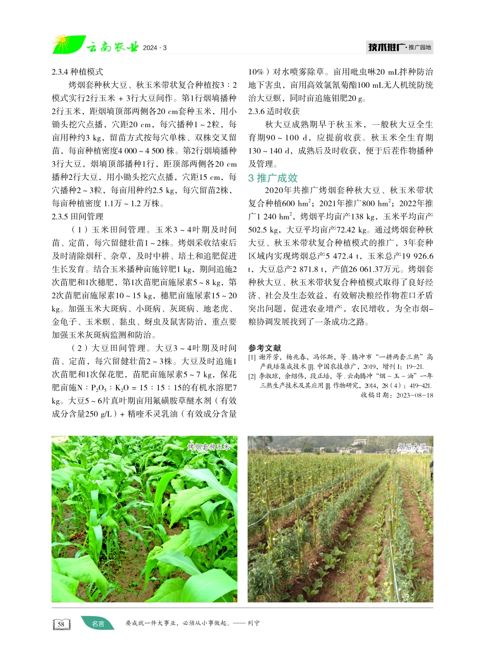烤烟套种秋大豆玉米带状复合种植.pdf_第2页