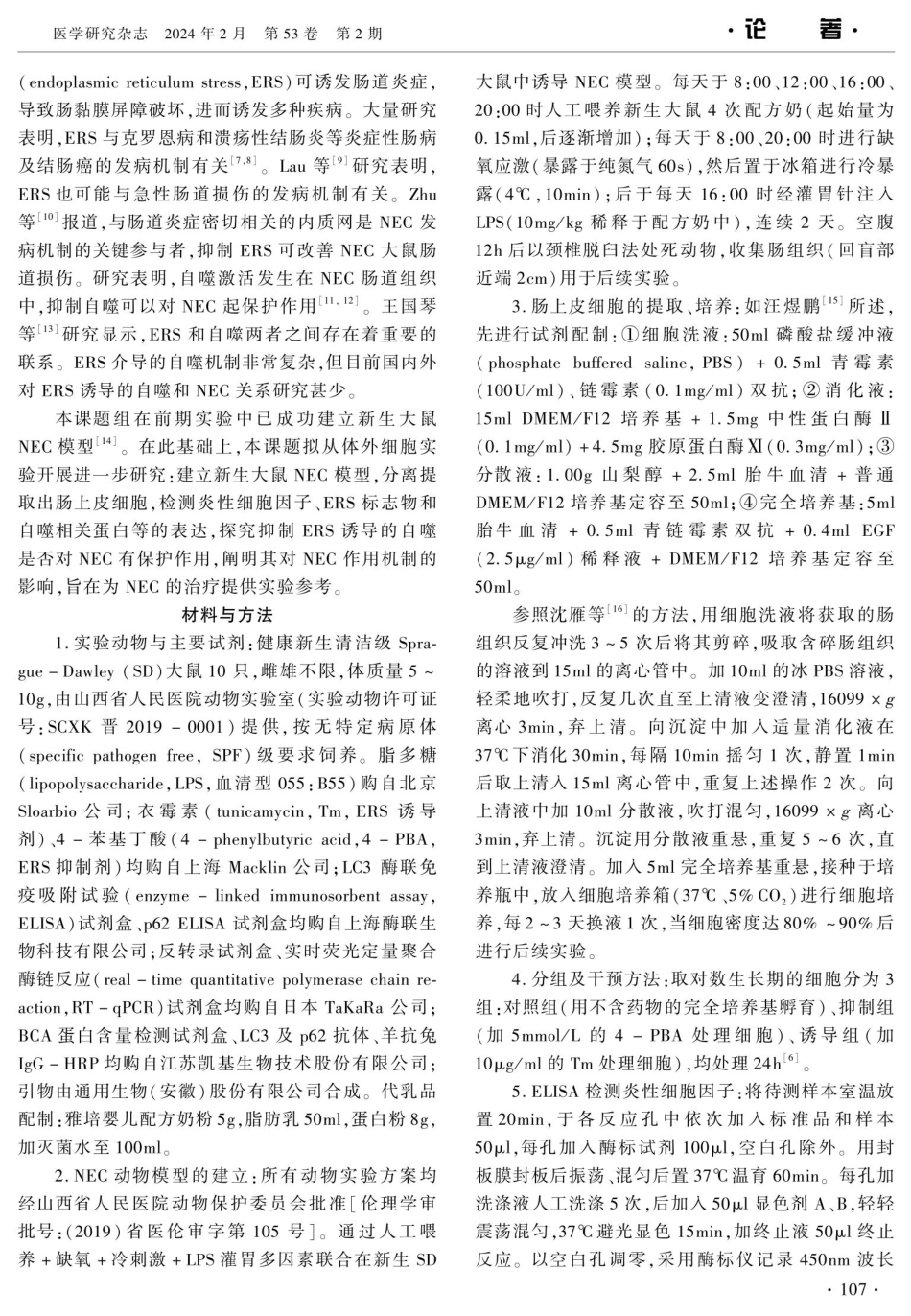 内质网应激诱导的自噬对新生大鼠坏死性小肠结肠炎的影响.pdf_第2页