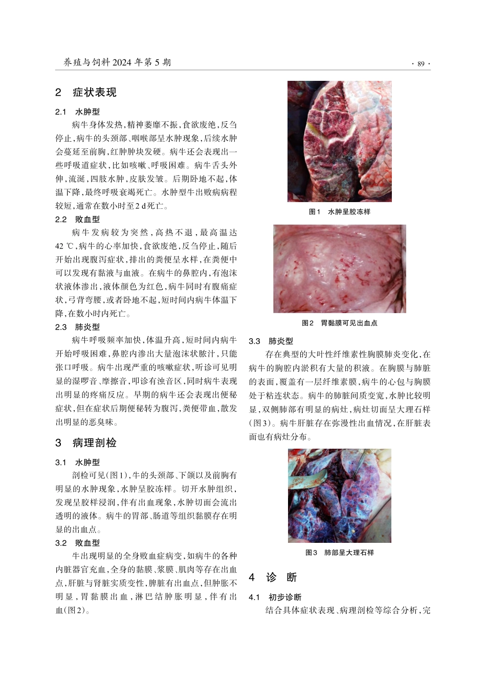 牛出败病的诊断与防治.pdf_第2页