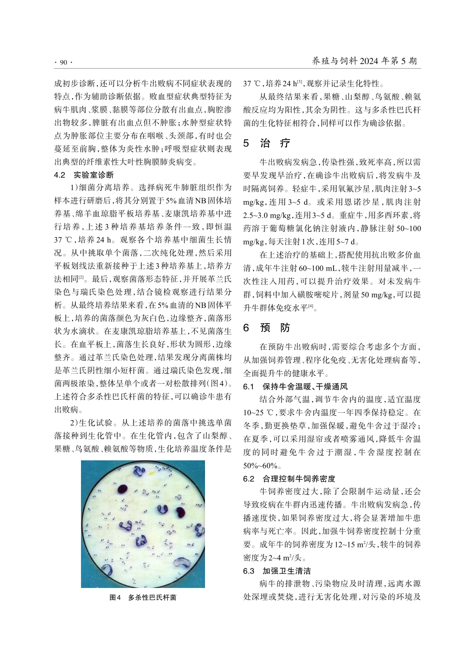 牛出败病的诊断与防治.pdf_第3页
