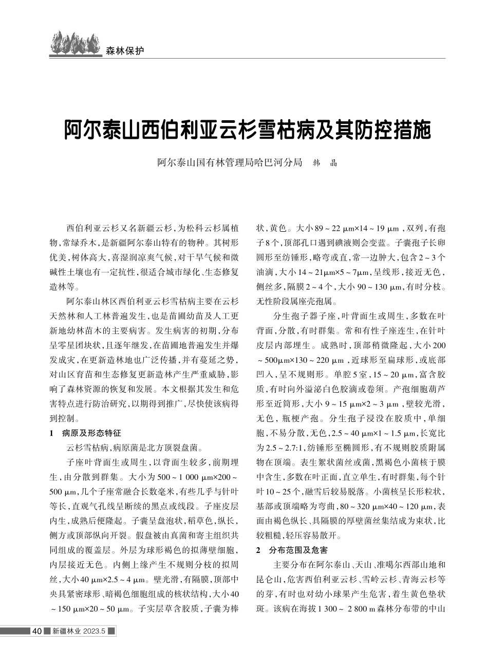 阿尔泰山西伯利亚云杉雪枯病及其防控措施.pdf_第1页