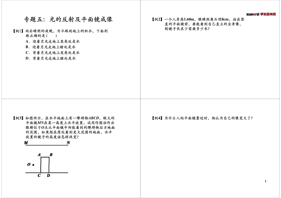 专题五：光的反射及平面镜成像.pdf_第1页
