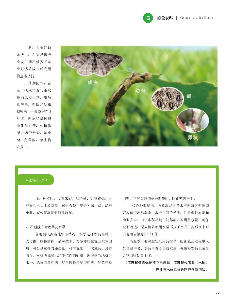 江苏省秋粮穗期重大病虫发生趋势及防治技术.pdf_第3页