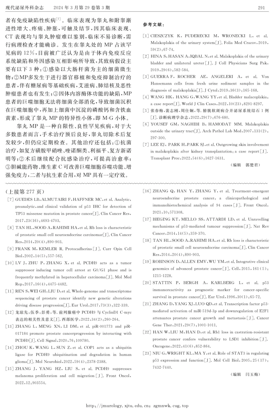 睾丸软斑症1例报告.pdf_第2页
