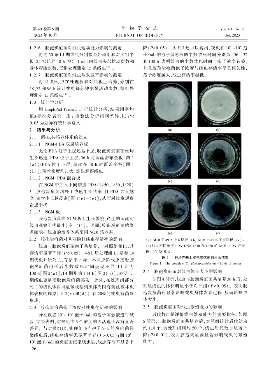 胶孢炭疽菌侵染秀丽隐杆线虫的特性研究.pdf_第3页
