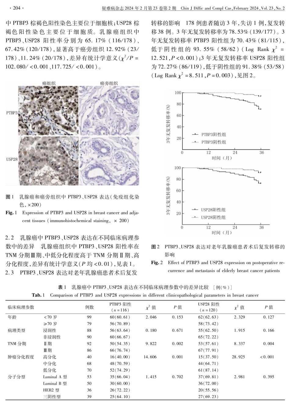 老年乳腺癌组织中PTBP3、USP28表达与术后复发转移的关系.pdf_第3页