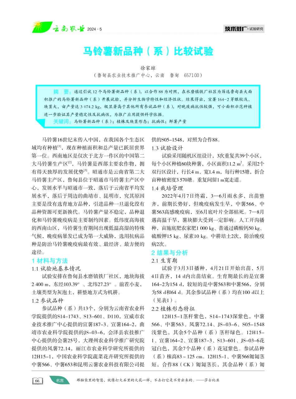 马铃薯新品种%28系%29比较试验 (1).pdf_第1页