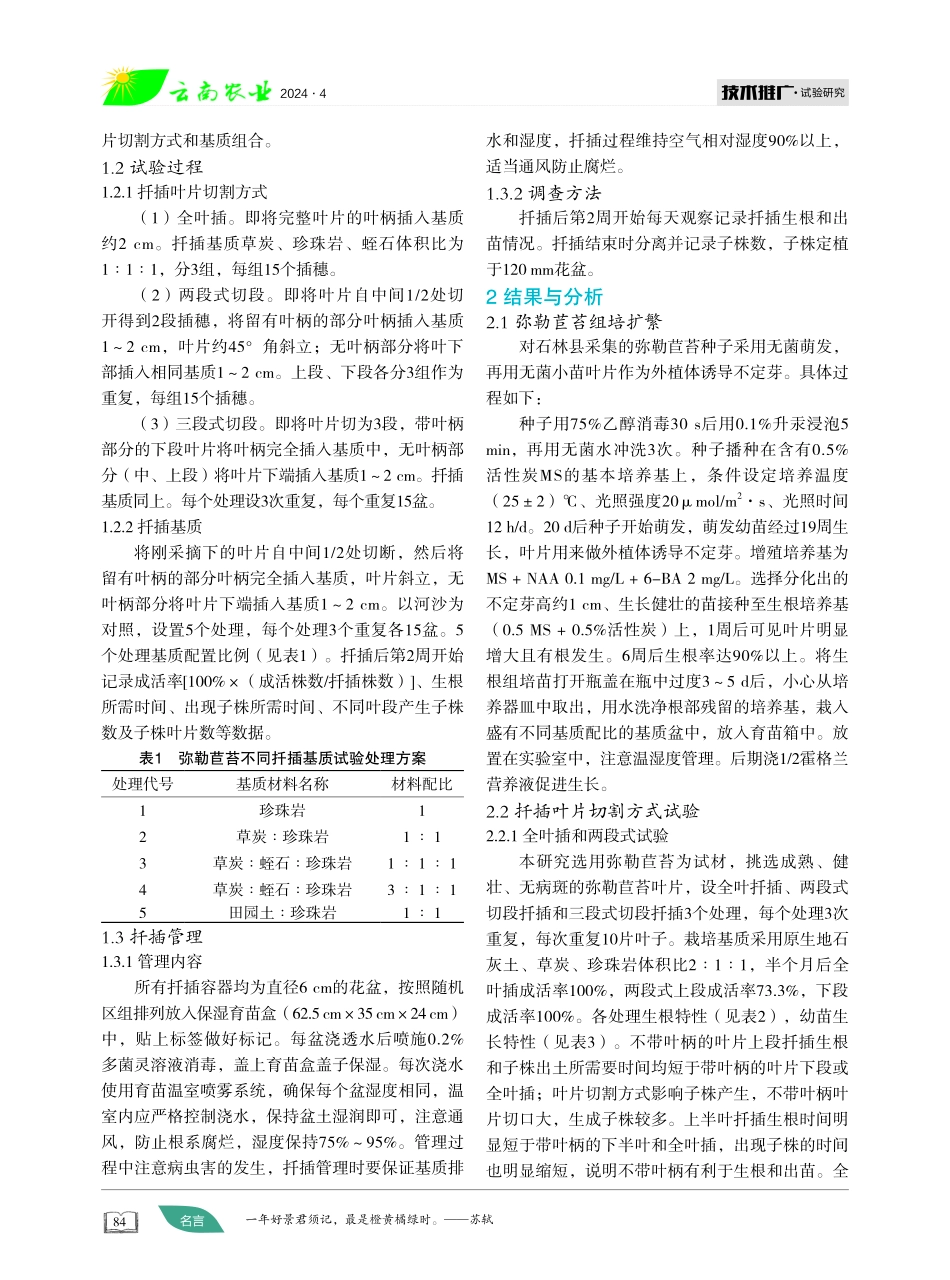 弥勒苣苔叶插繁殖试验研究.pdf_第2页