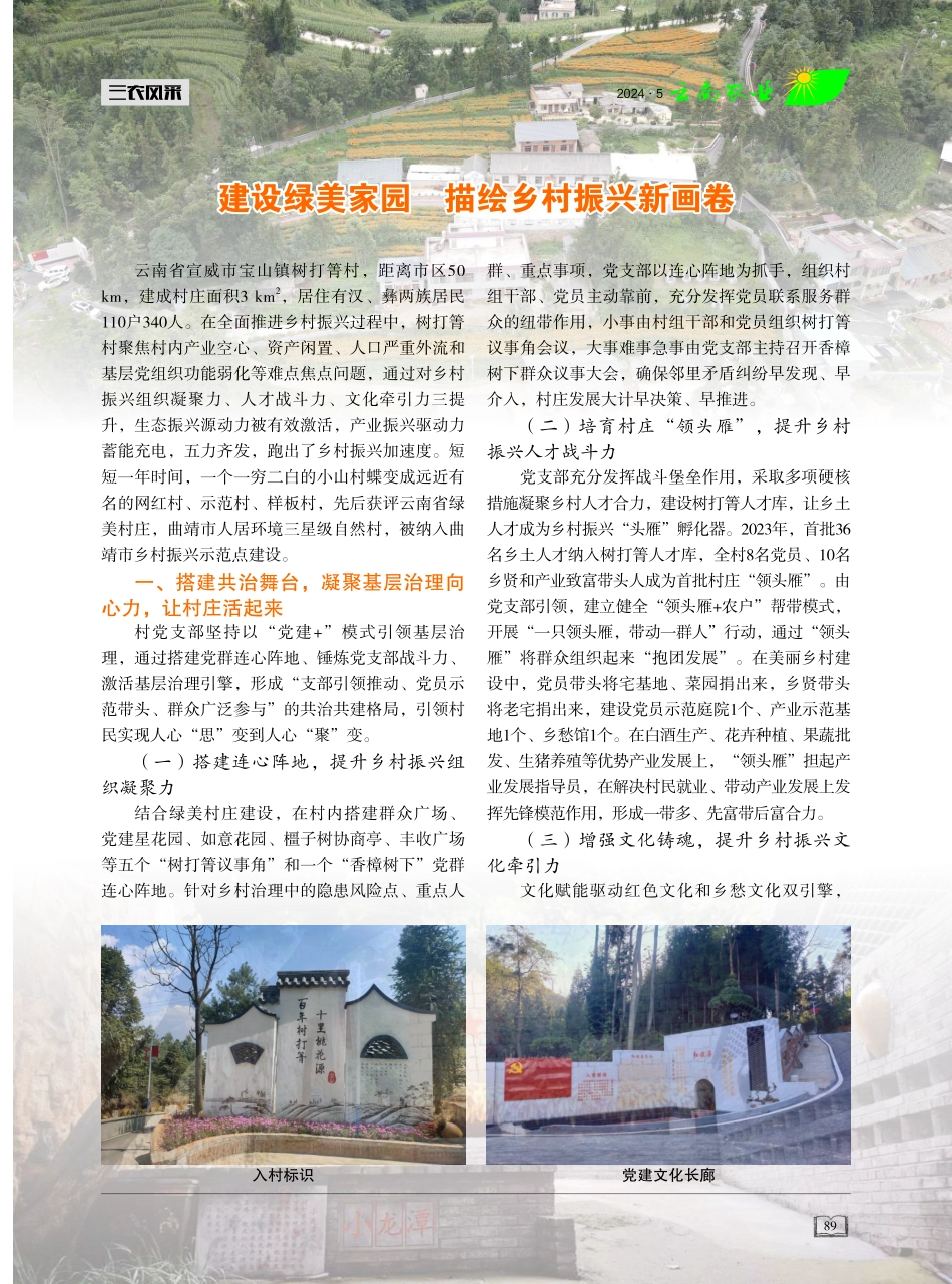 建设绿美家园 描绘乡村振兴新画卷 (1).pdf_第1页