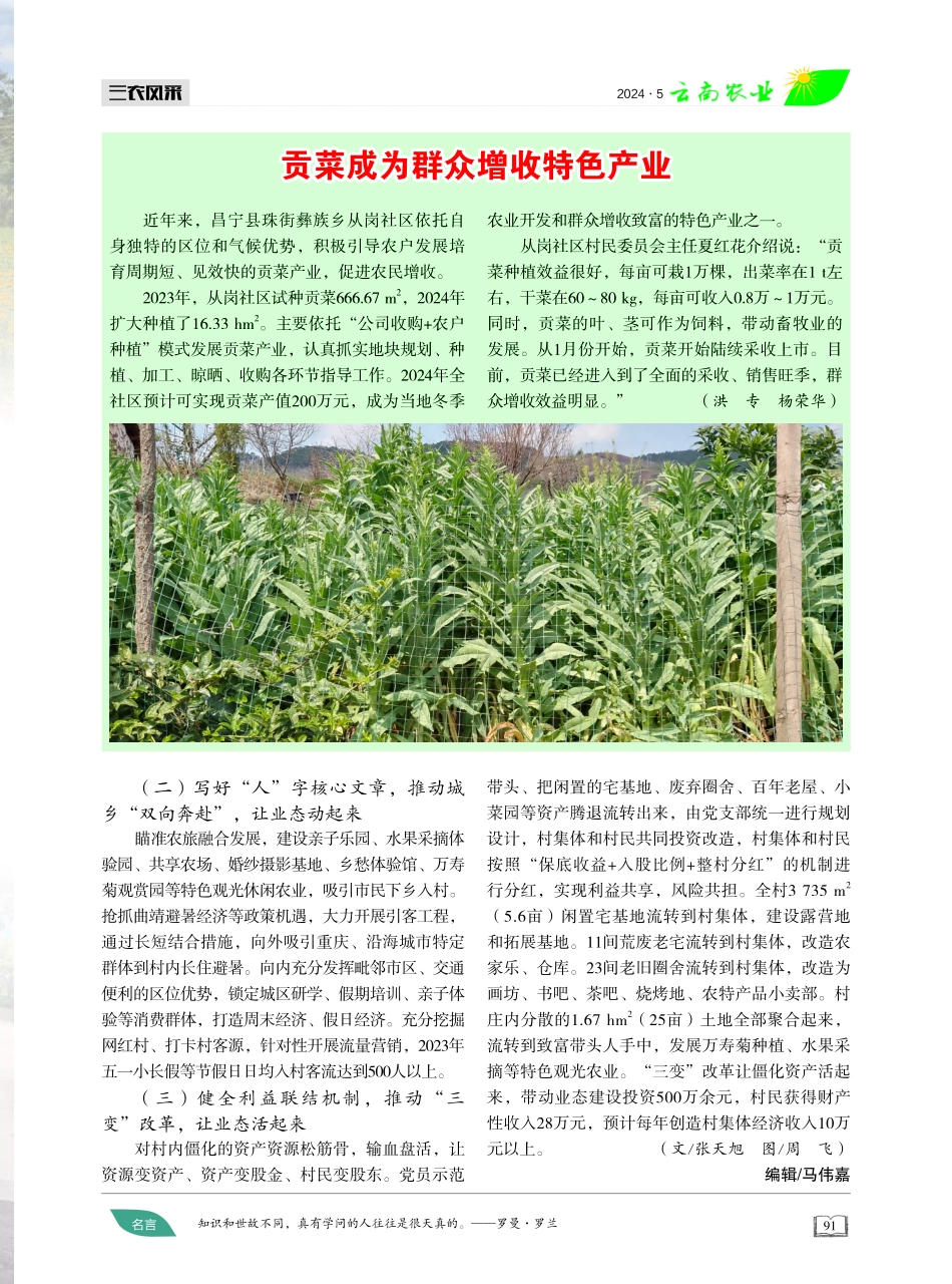 建设绿美家园 描绘乡村振兴新画卷 (1).pdf_第3页