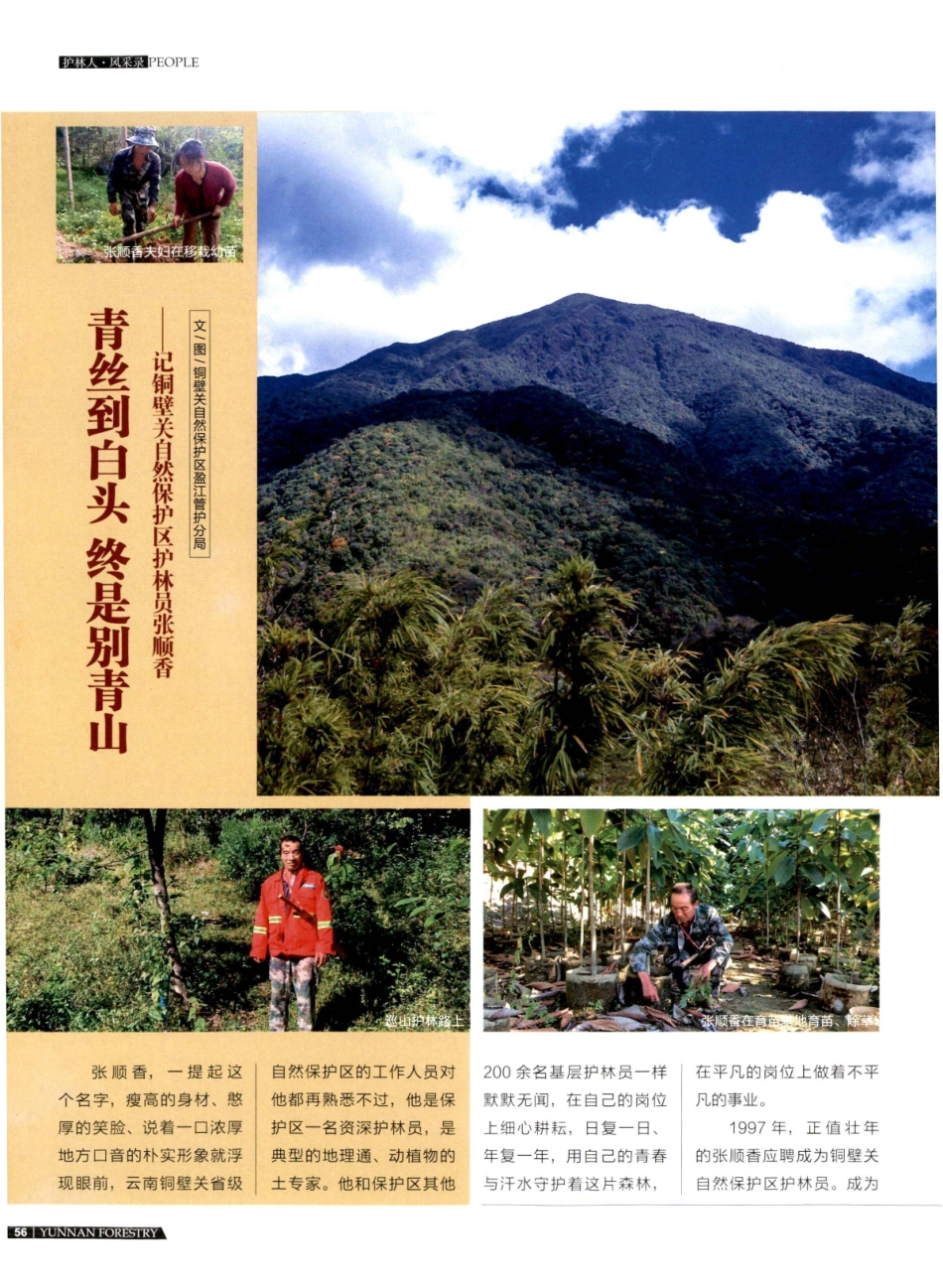 青丝到白头 终是别青山——记铜壁关自然保护区护林员张顺香.pdf_第1页