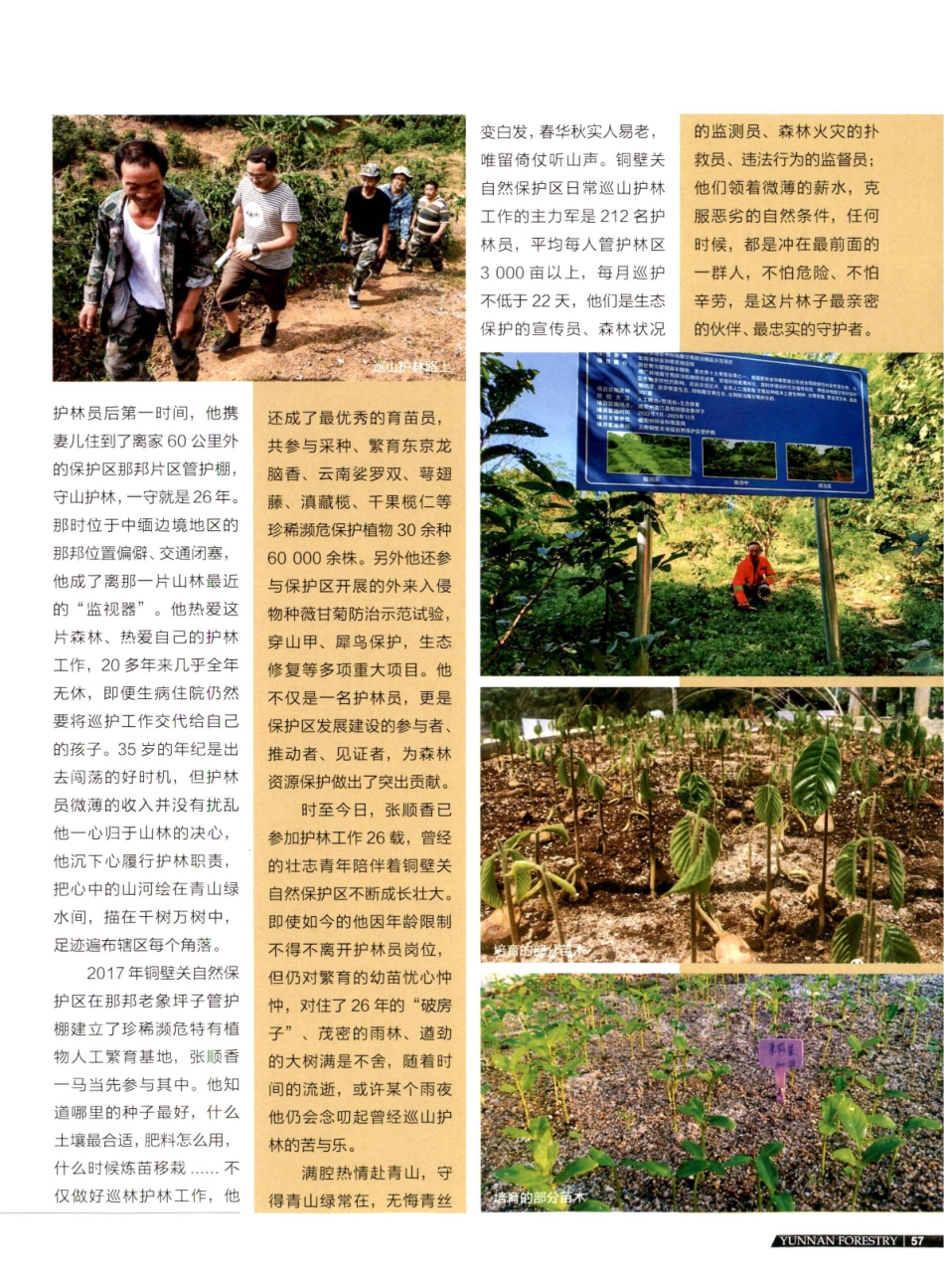 青丝到白头 终是别青山——记铜壁关自然保护区护林员张顺香.pdf_第2页