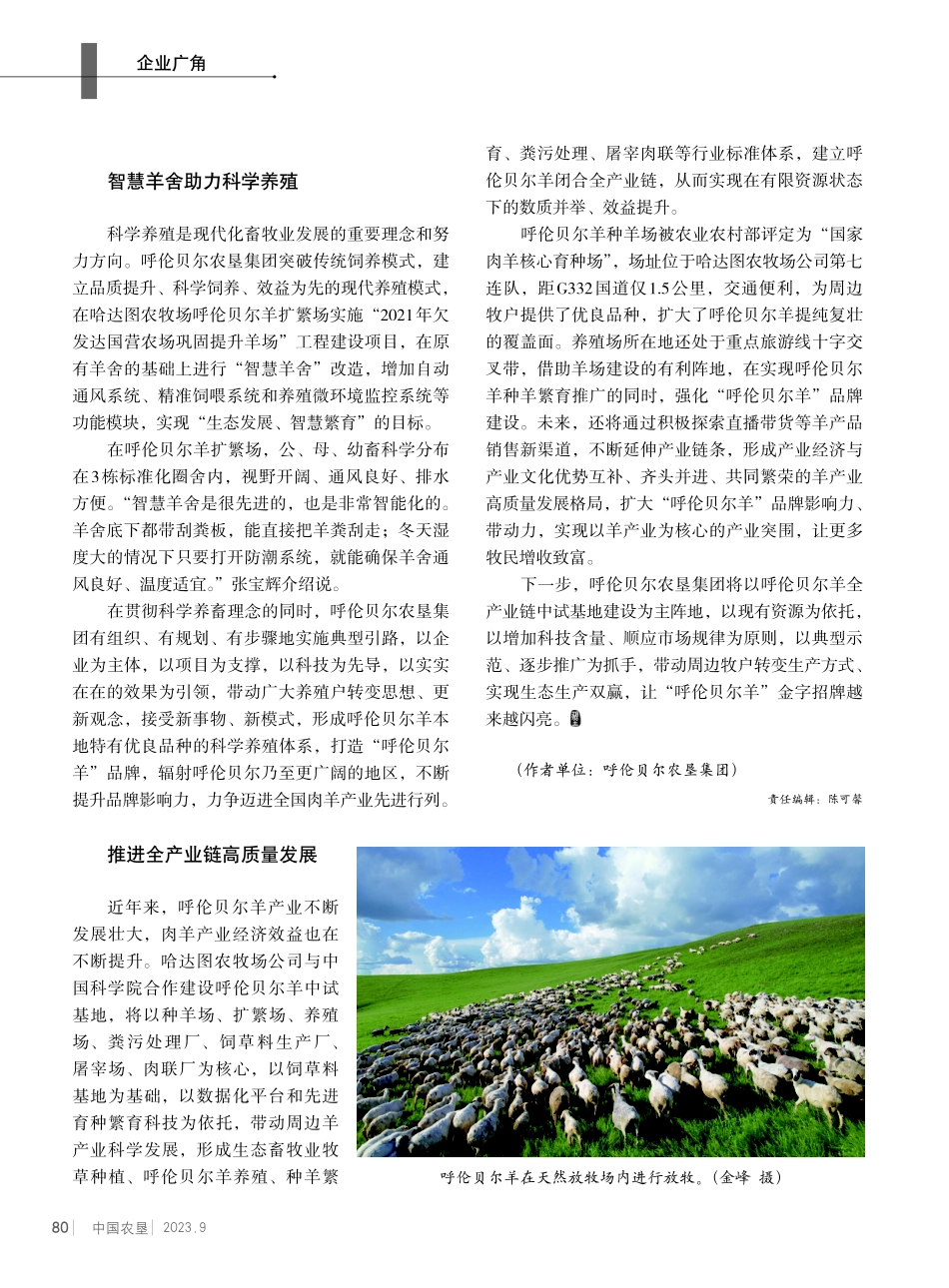 叫响“呼伦贝尔羊”品牌 促进畜牧业高质量发展.pdf_第2页