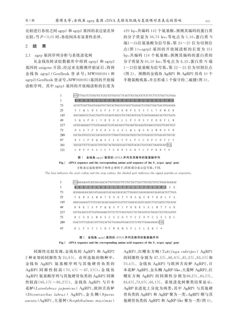 金钱鱼agrp基因cDNA克隆及饥饿与复投喂对其表达的影响.pdf_第3页