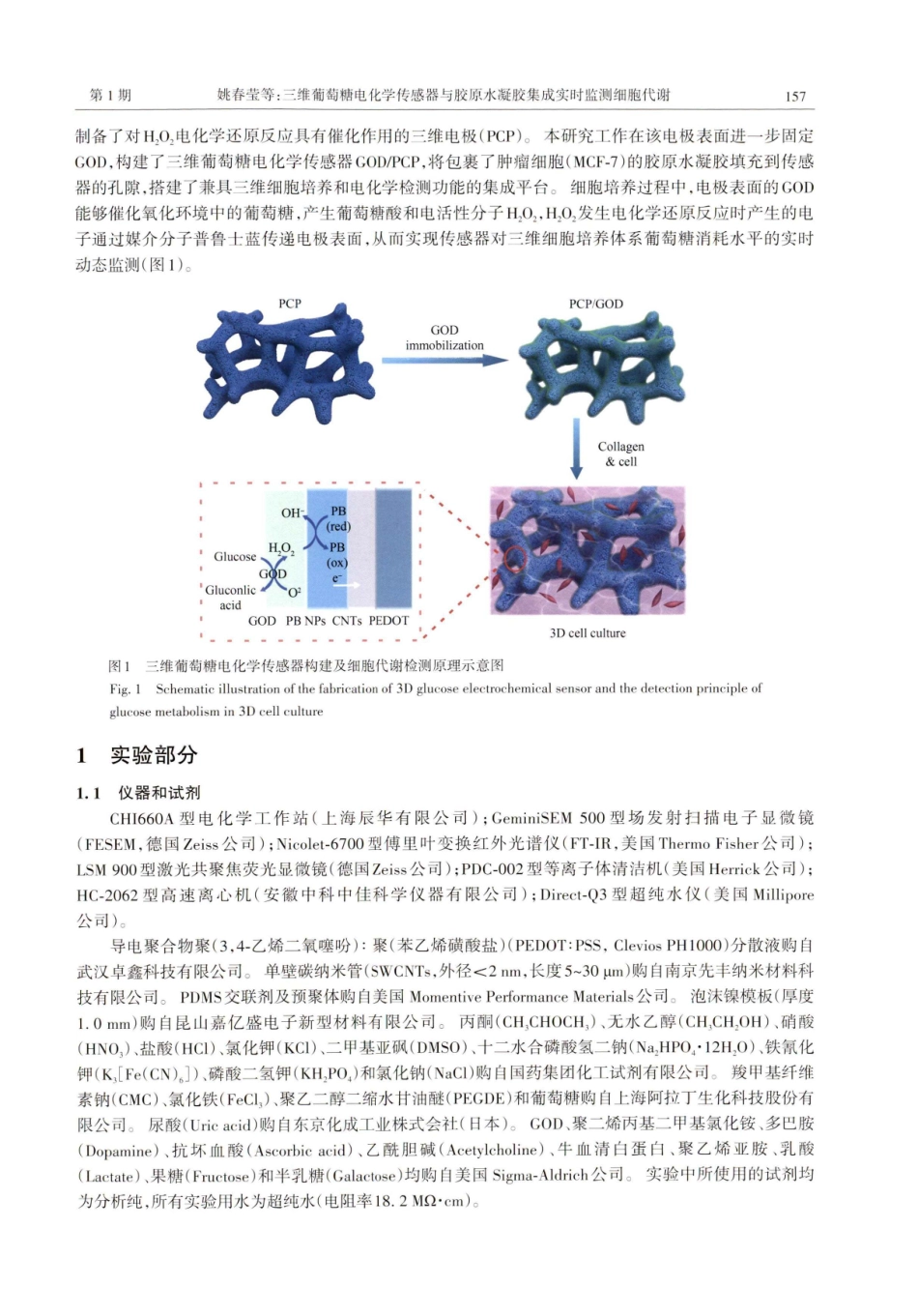三维葡萄糖电化学传感器与胶原水凝胶集成实时监测细胞代谢.pdf_第2页