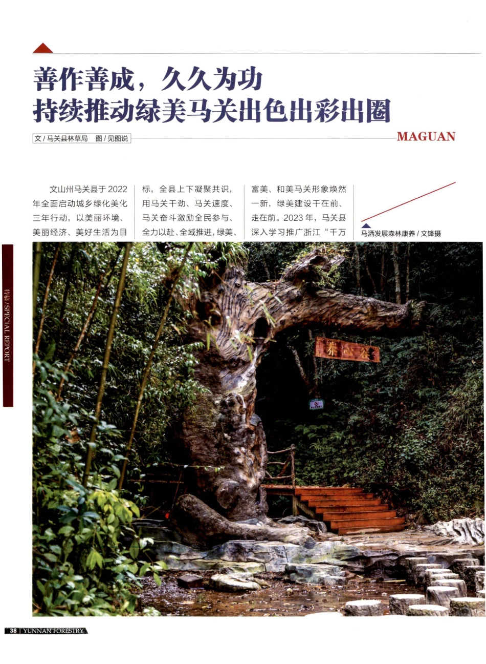 善作善成%2C久久为功 持续推动绿美马关出色出彩出圈.pdf_第1页