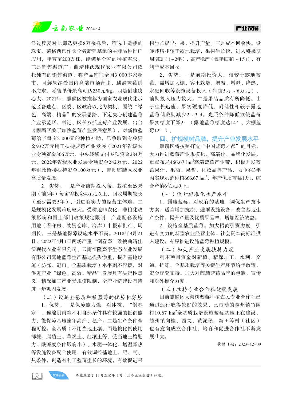 因地制宜发展蓝莓产业.pdf_第3页