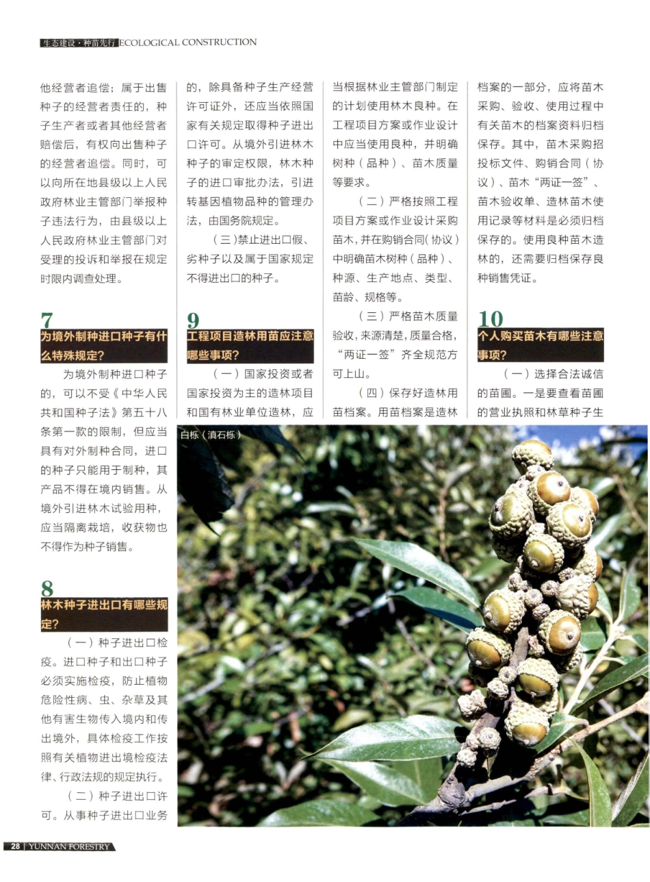 云南林木种苗问答.pdf_第3页