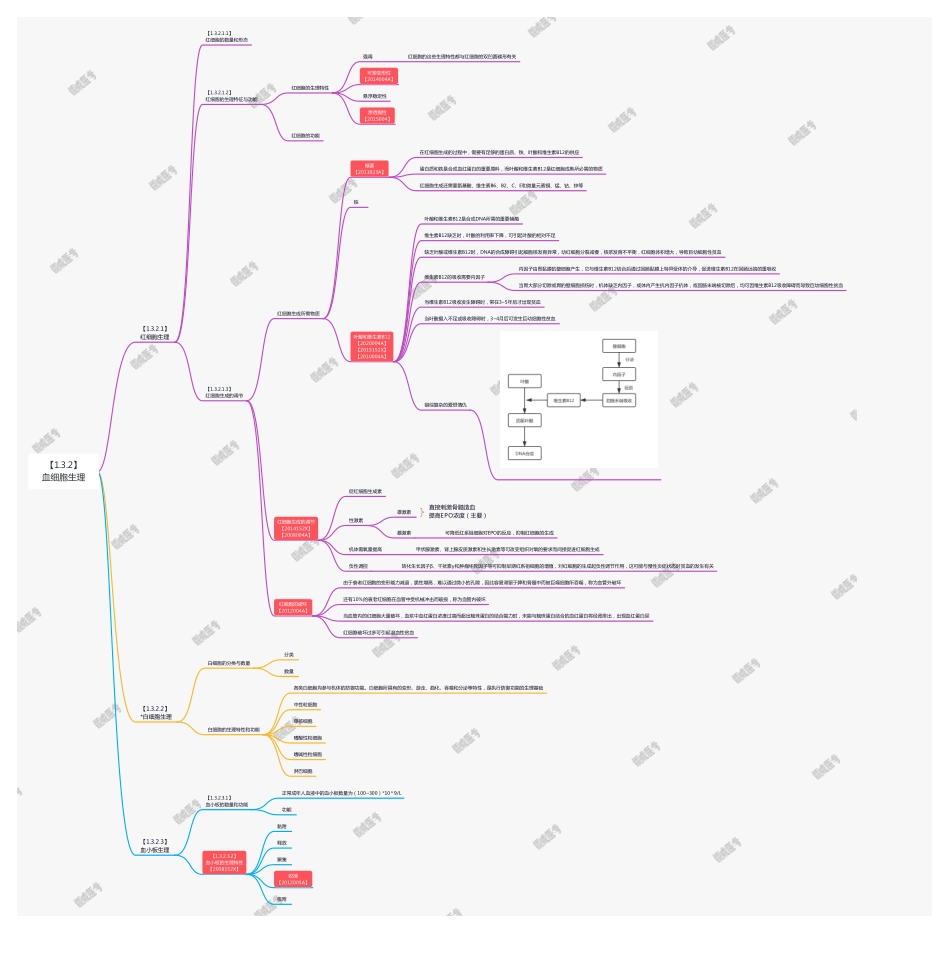【221026】思维导图-3.2 血细胞生理 .pdf_第1页