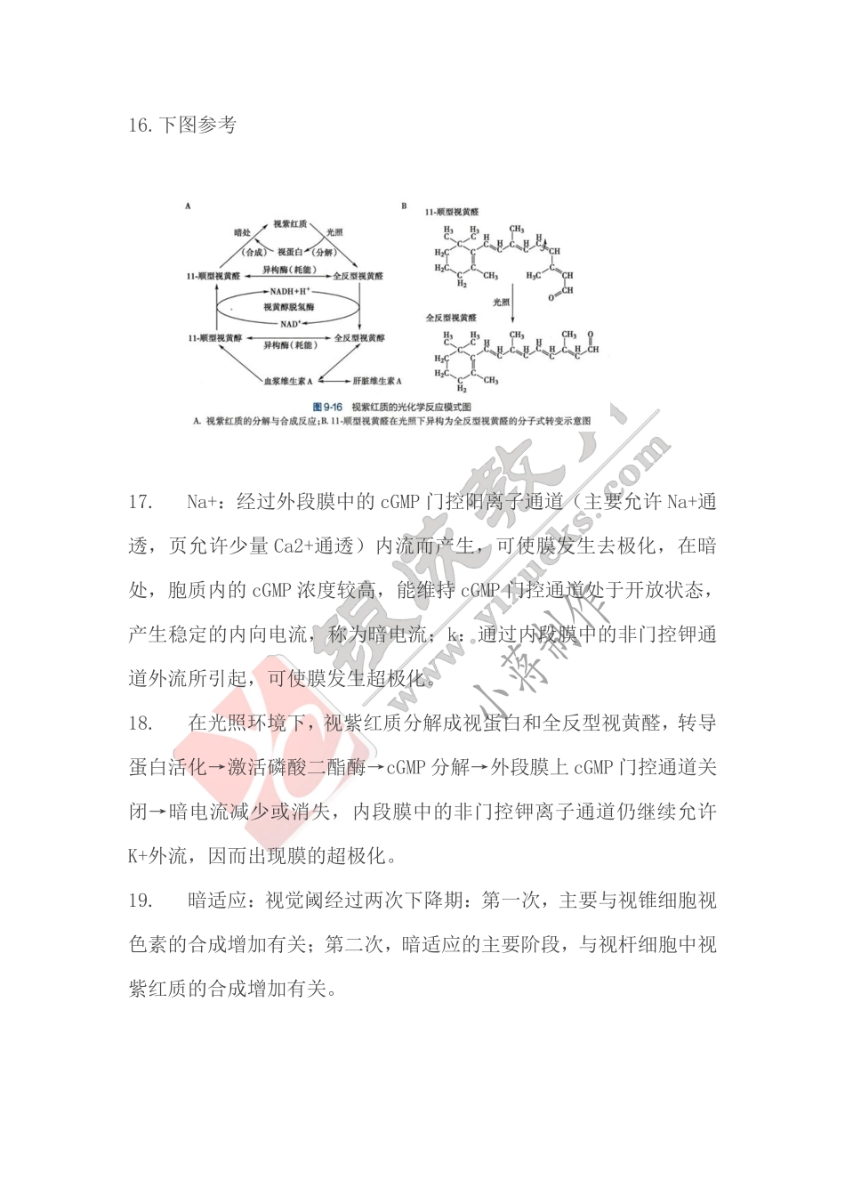 【221111】生理学第14天带读课课后作业-答案 .pdf_第3页