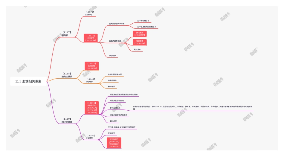 【221116】思维导图-11.5 血糖相关激素 .pdf_第1页