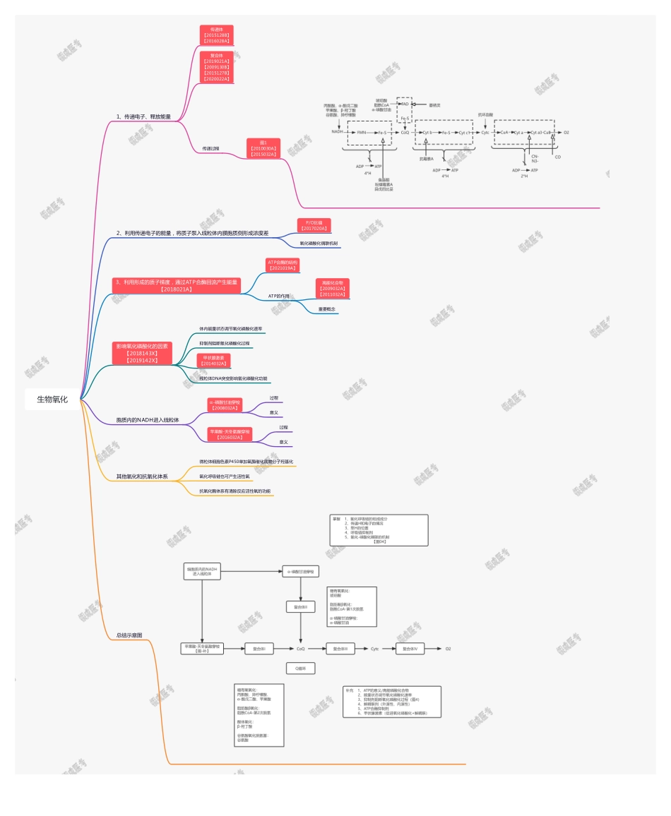 【221125】思维导图-生物氧化 .pdf_第1页