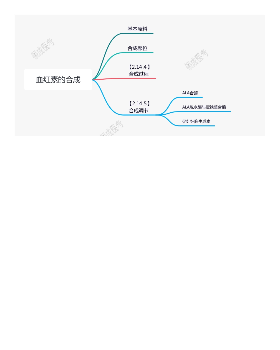 【221201】思维导图-血红素的合成 .pdf_第1页