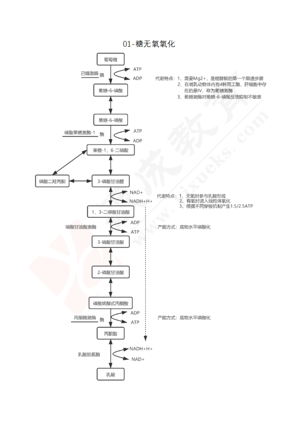 【221205】生化代谢图-完整版-答案 .pdf_第1页
