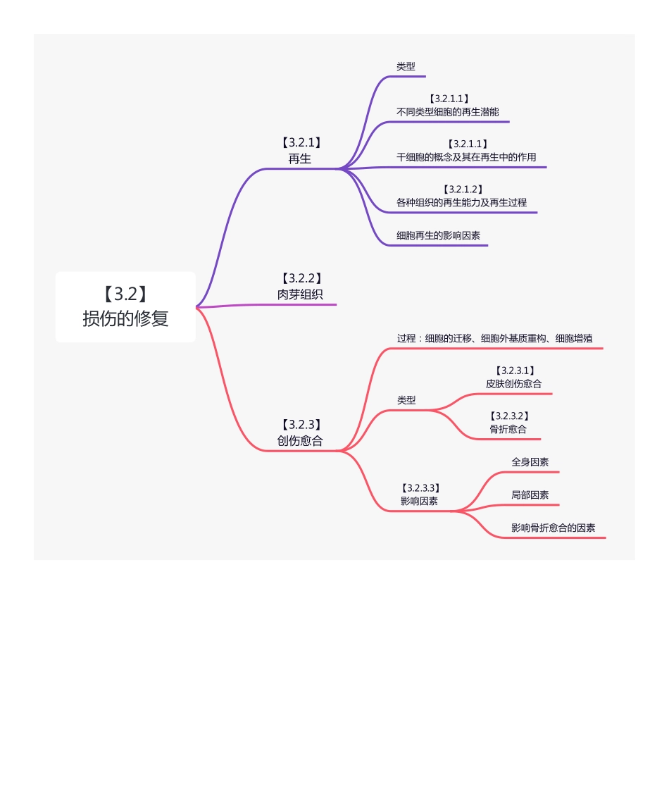 【221211】思维导图-损伤的修复 .pdf_第1页