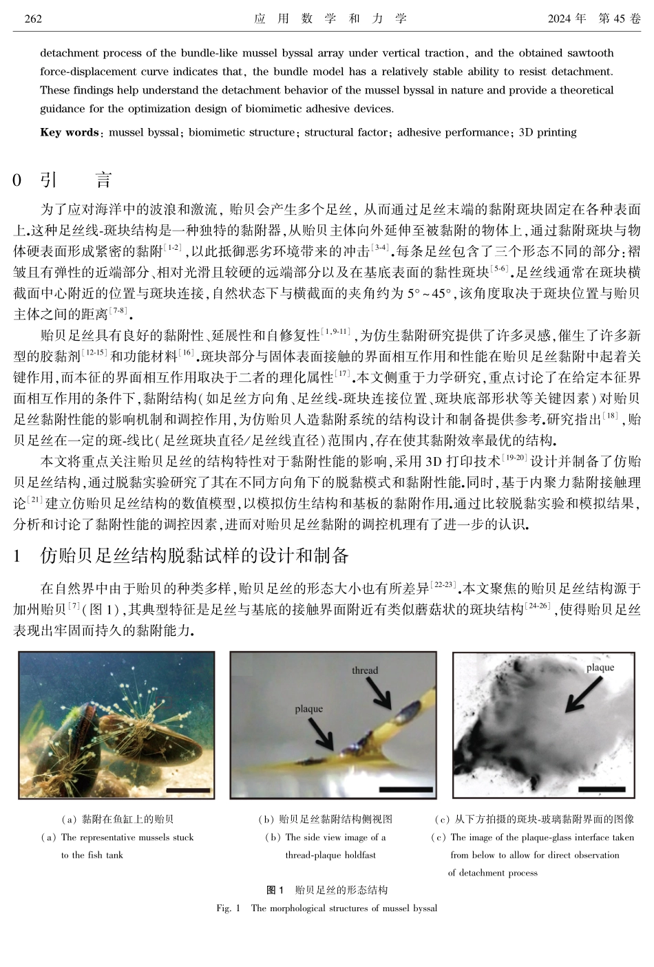3D打印仿贻贝足丝结构的黏附性能.pdf_第2页