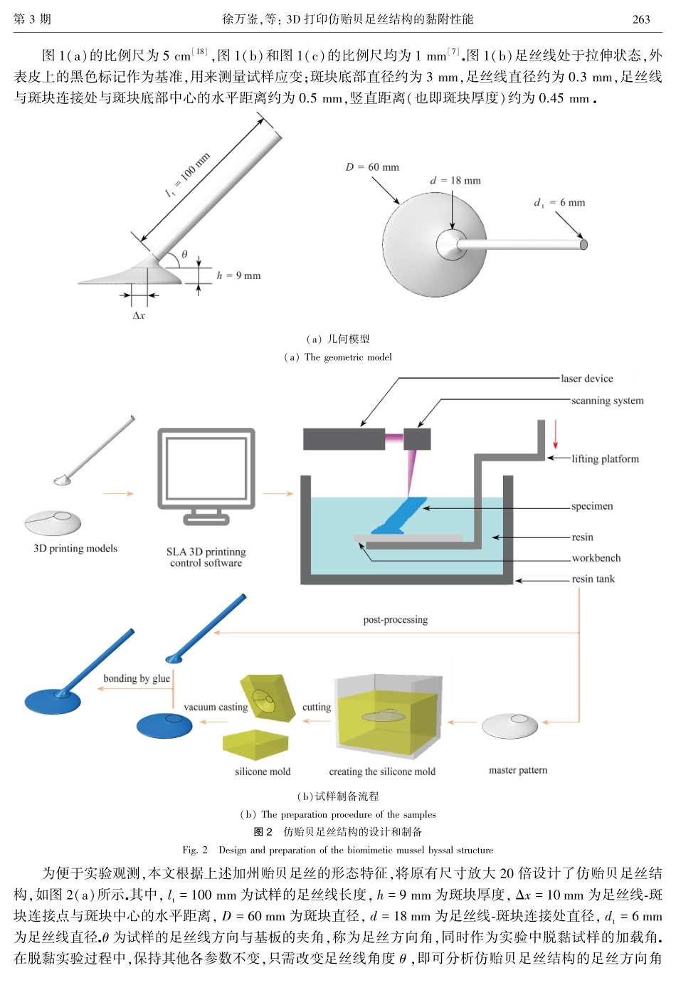 3D打印仿贻贝足丝结构的黏附性能.pdf_第3页