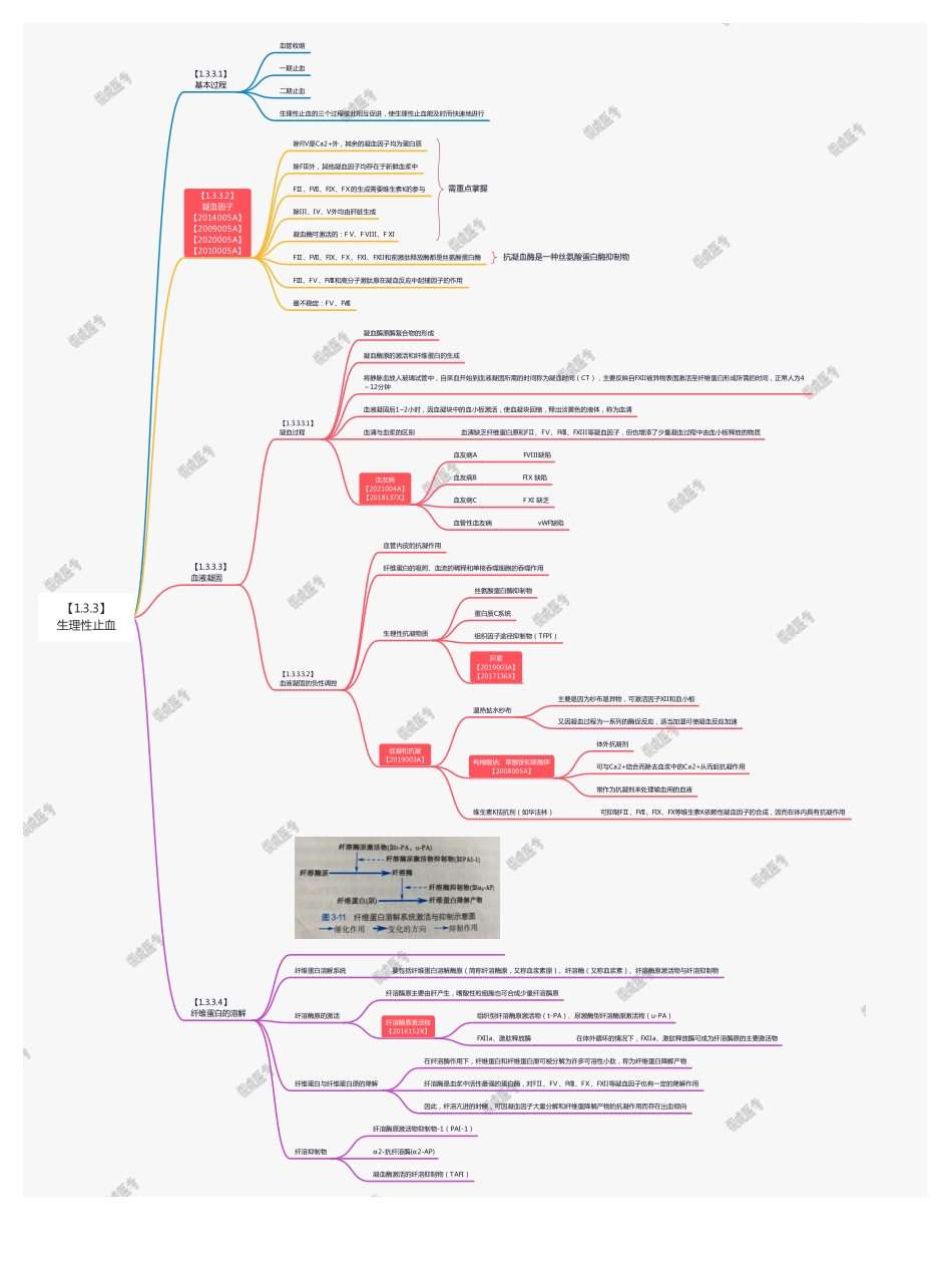 【221026】思维导图-3.3 生理性止血 .pdf_第1页