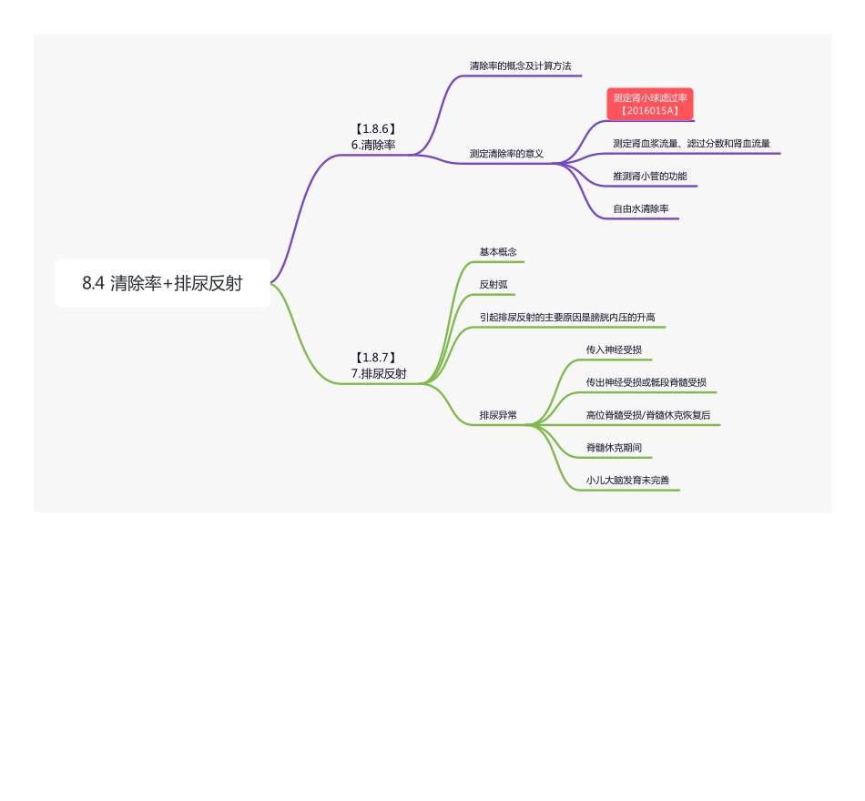 【221105】思维导图-8.4 清除率+排尿反射 .pdf_第1页