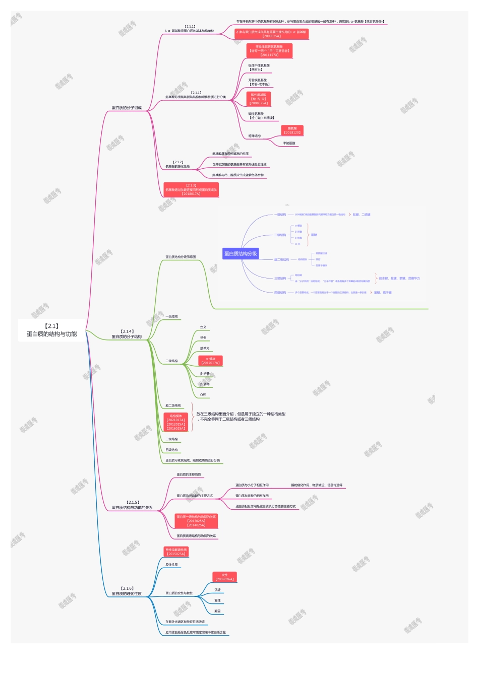 【221121】思维导图-蛋白质的结构与功能 .pdf_第1页