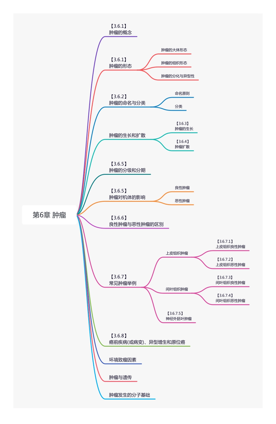 【221215】思维导图-肿瘤 .pdf_第1页