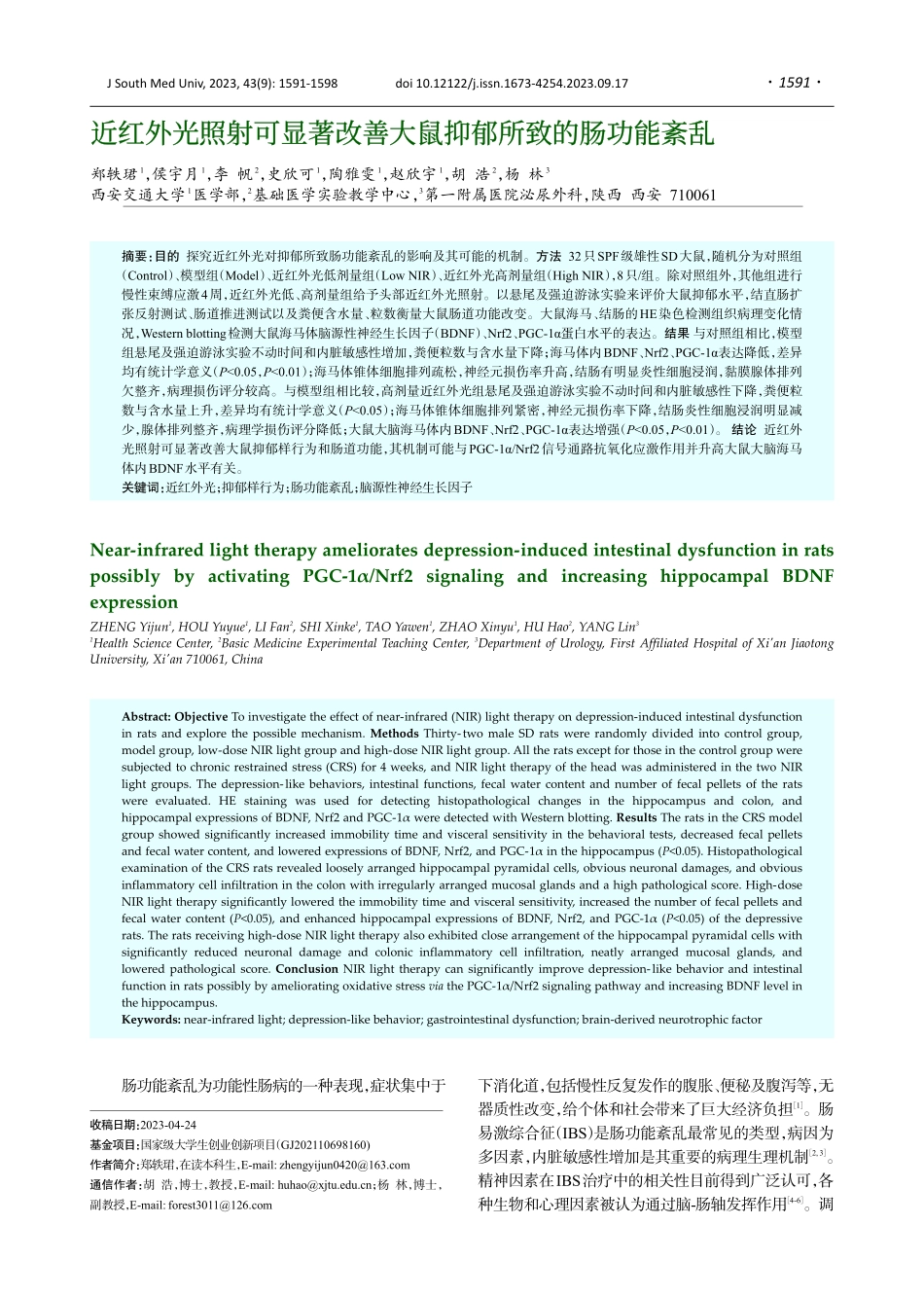 近红外光照射可显著改善大鼠抑郁所致的肠功能紊乱.pdf_第1页