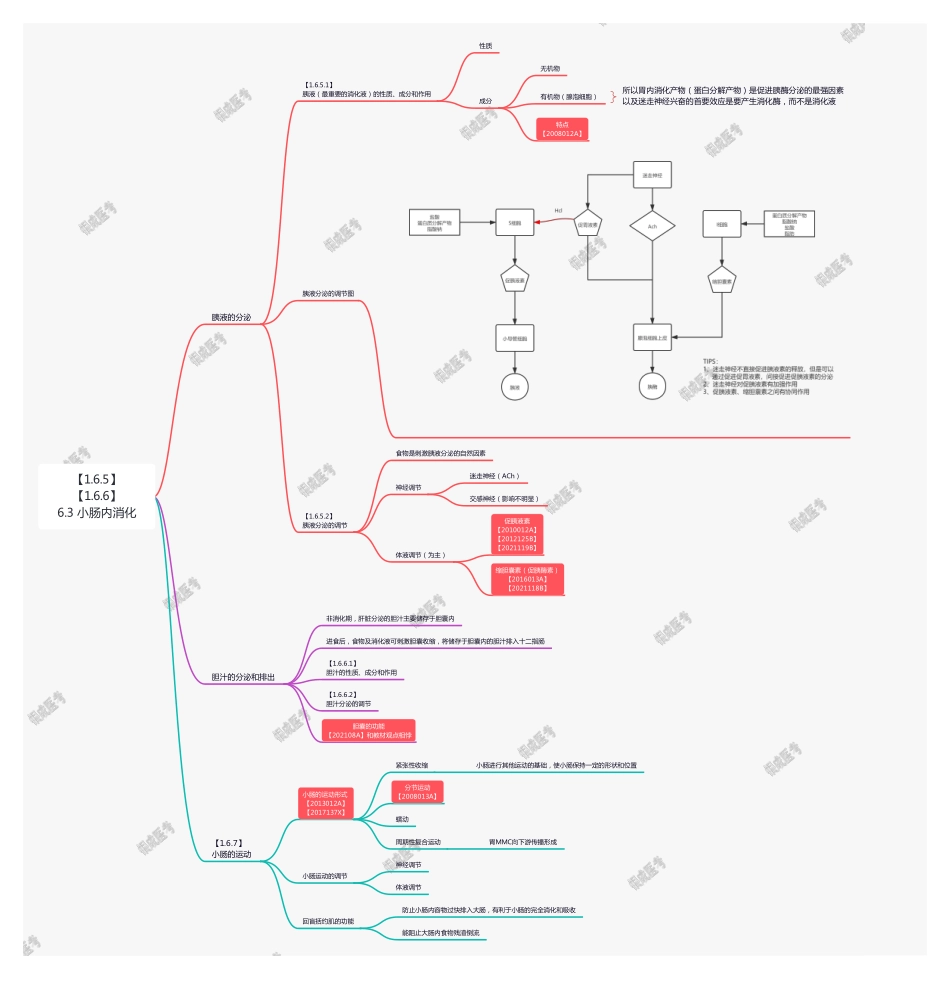 【221103】思维导图-6.3 小肠内消化 .pdf_第1页