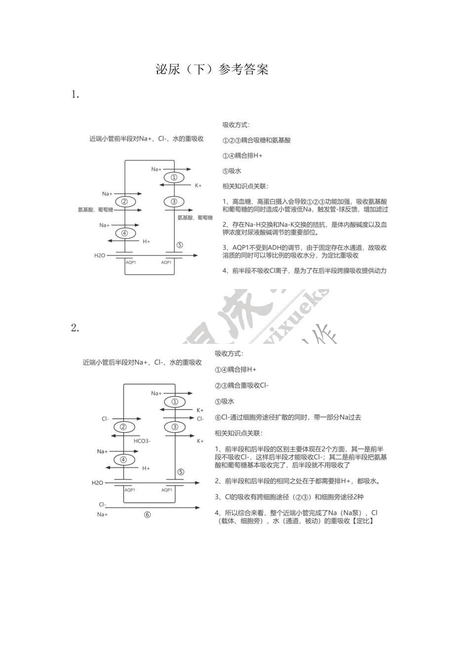 【221107】生理学第13天带读课后作业-答案 .pdf_第1页