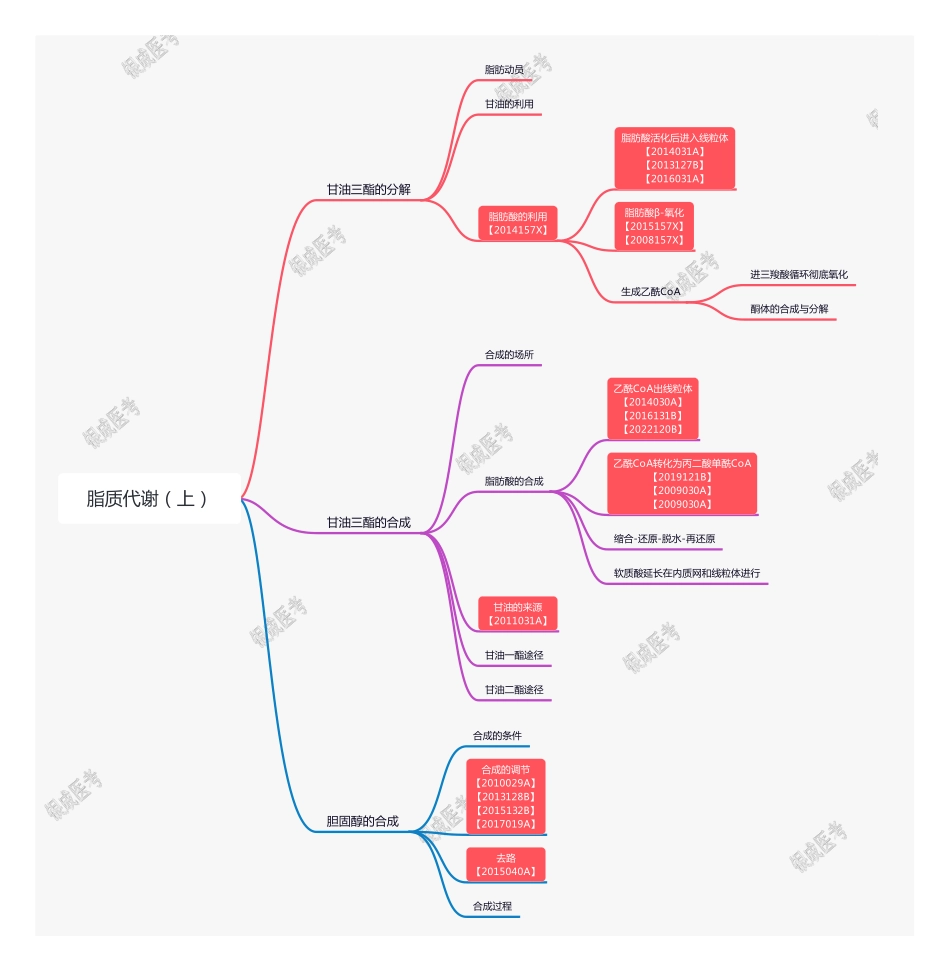 【221127】思维导图-脂质代谢（上） .pdf_第1页