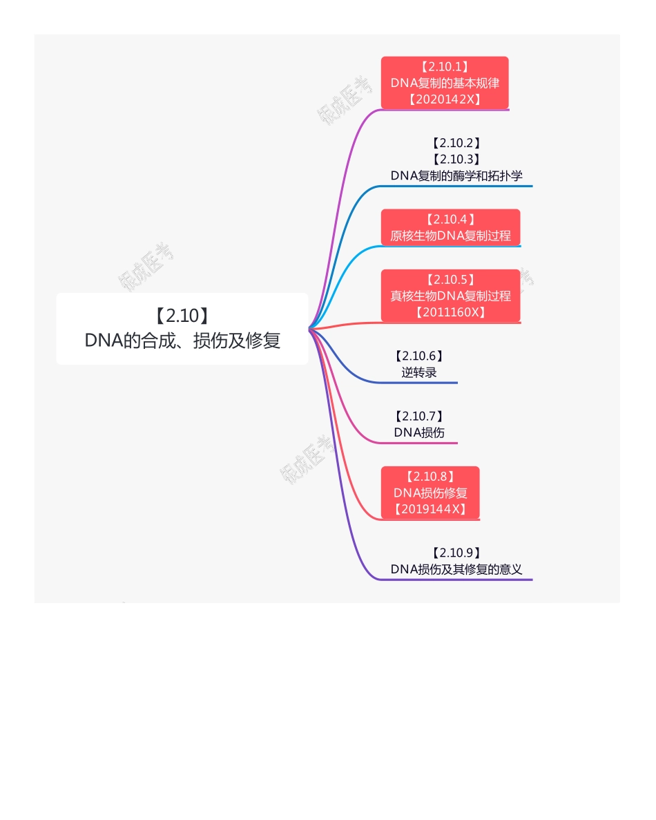 【221203】思维导图-DNA的合成 .pdf_第1页