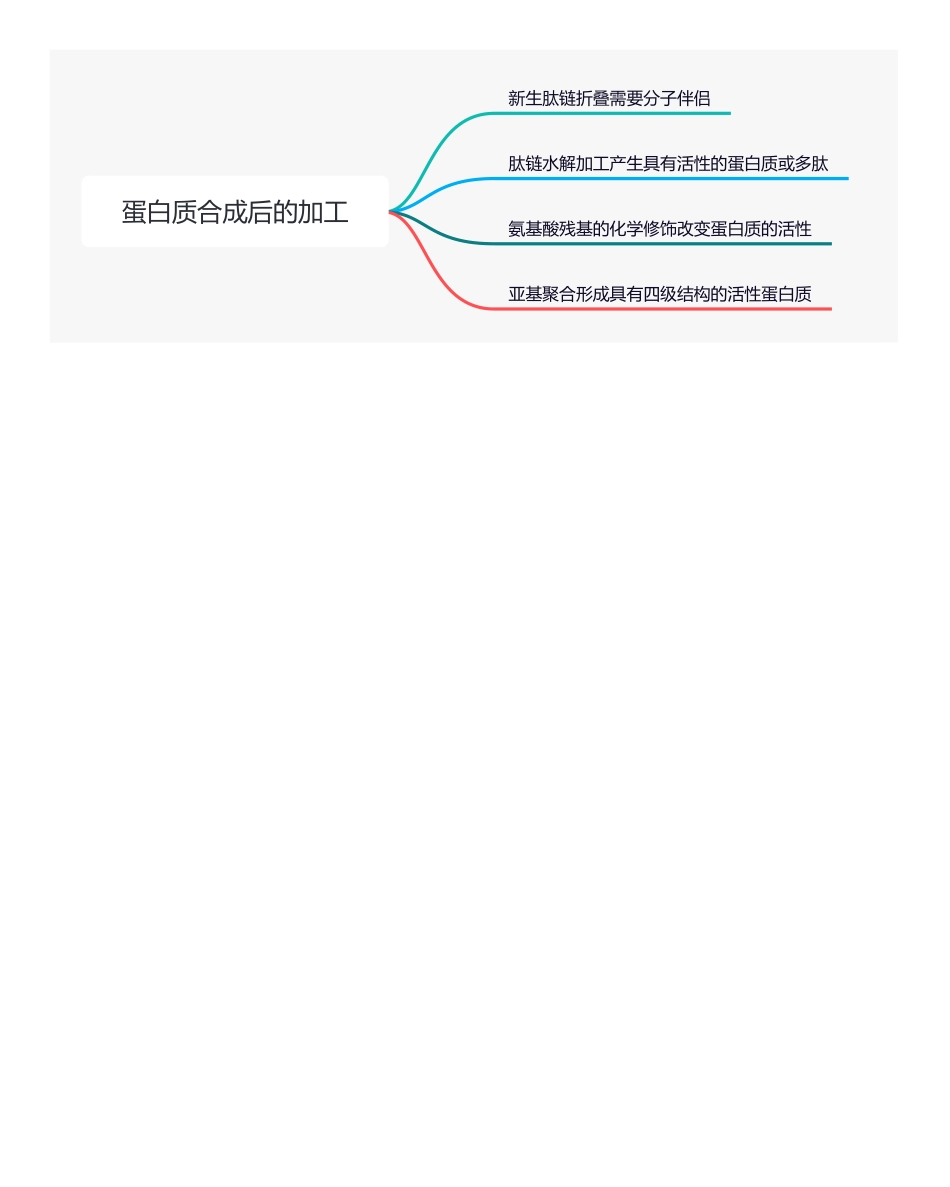 【221205】思维导图-蛋白质合成后的加工 .pdf_第1页